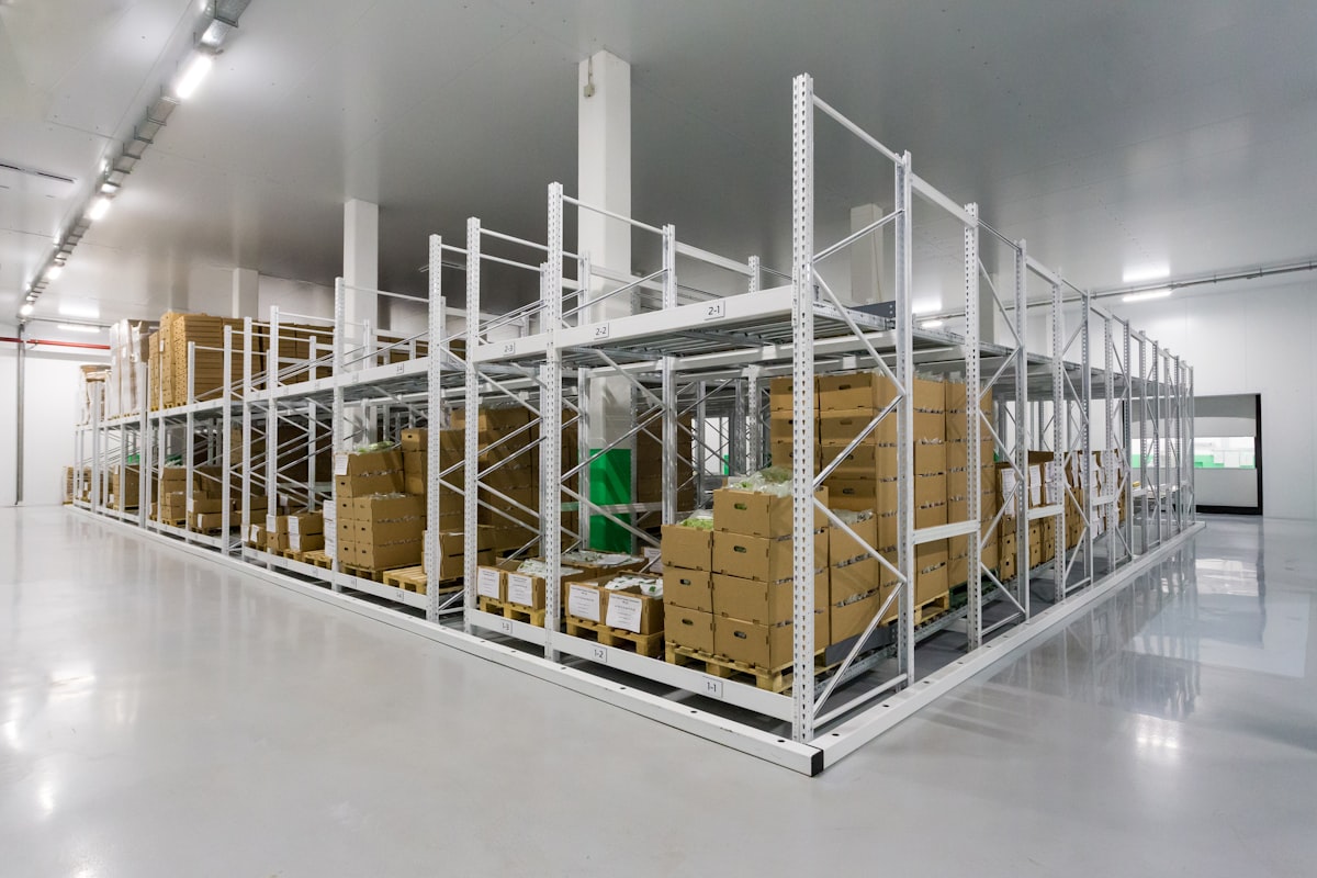 A bright, orderly warehouse with white steel racking holding neatly arranged cardboard boxes on pallets